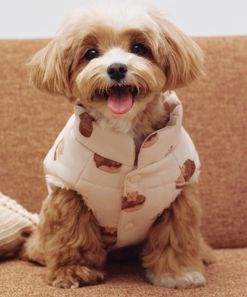 GELATO PIQUE ジェラートピケ【CAT&DOG】中綿ベスト gelato pique（ジェラートピケ） 犬 服 「CAT＆DOG」中綿ベスト