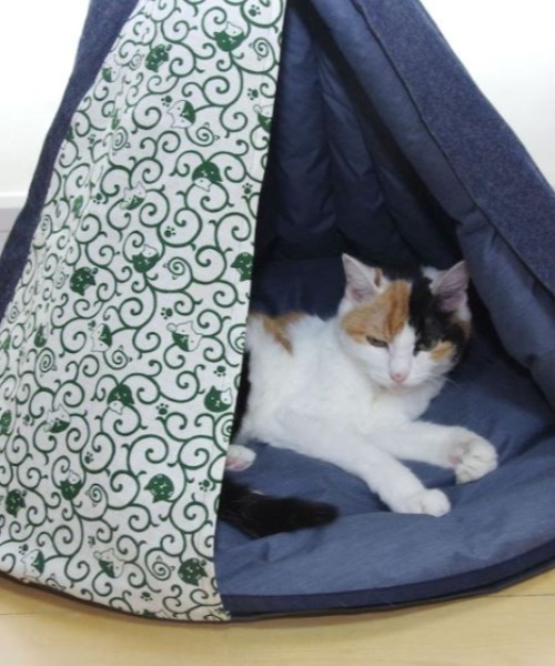 【 nyan de bal / ニャンデバル 】【 Jumou / ジュモウ 】 羽毛のキャットテント ねこ ネコ 猫 にゃんこ cat tent F de nyan bal ニャンデバル Jumou ジュモウ 羽毛のキャットテント ねこ ネコ にゃんこ cat tent salle