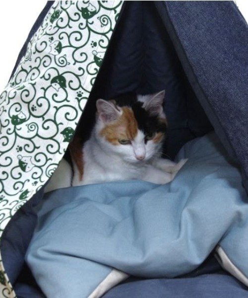 【 nyan de bal / ニャンデバル 】【 Jumou / ジュモウ 】 羽毛のキャットテント ねこ ネコ 猫 にゃんこ cat tent F de nyan bal ニャンデバル Jumou ジュモウ 羽毛のキャットテント ねこ ネコ にゃんこ cat tent salle
