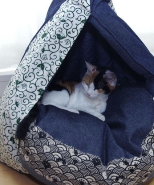 【 nyan de bal / ニャンデバル 】【 Jumou / ジュモウ 】 羽毛のキャットテント ねこ ネコ 猫 にゃんこ cat tent F de nyan bal ニャンデバル Jumou ジュモウ 羽毛のキャットテント ねこ ネコ にゃんこ cat tent salle