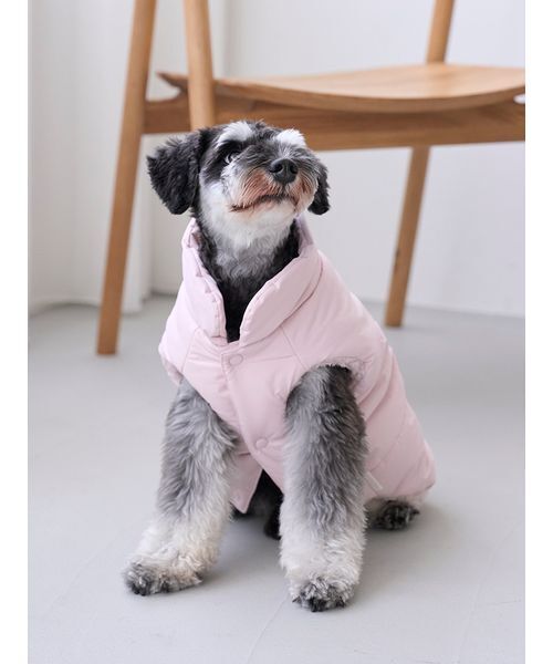 gelato pique（ジェラートピケ） 犬 服 「CAT＆DOG」XL・XXLサイズ中綿