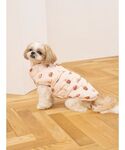 犬 服 「CAT&DOG」XL・XXLサイズ中...の詳細画像4