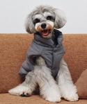 犬 服 「CAT&DOG」XL・XXLサイズ中...の詳細画像1