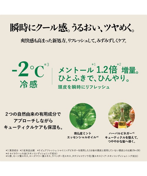 L'OCCITANE　リチャージトリートメント L'OCCITANE ロクシタン インテンシヴリペア シャンプー300ml