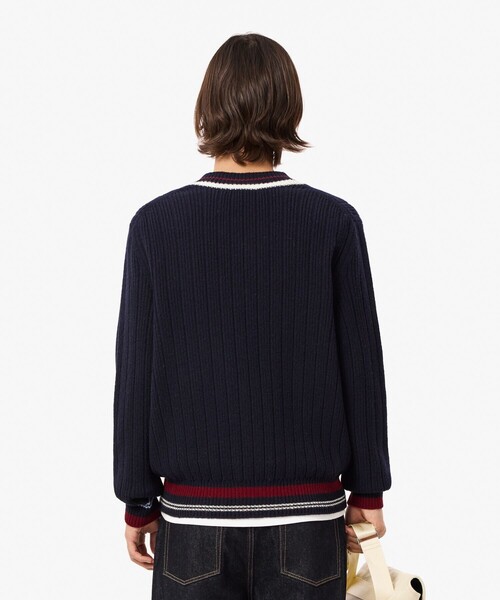【値下げ不可・レア】LACOSTE Vネック ニットセーター【US/L・ネイビー 値下げ不可・レア】LACOSTE Vネック ニットセーター【US/L