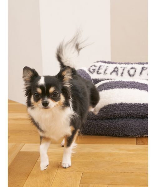 gelato pique（ジェラートピケ） 「CAT＆DOG」ジェラートソファ型