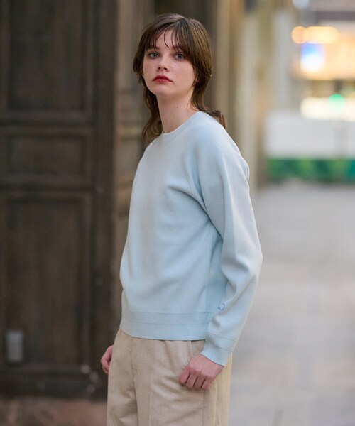 DRESSTERRIOR カシミヤ混 セーター【自宅での試着のみ】 DRESSTERIOR（ドレステリア） ニット セーター 「洗える