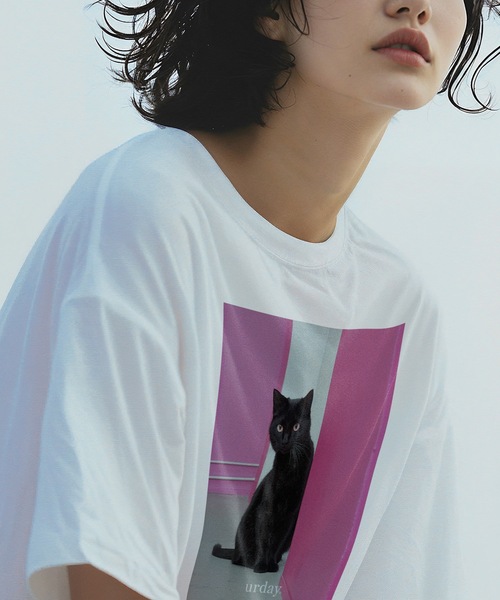 tシャツ urday / Black Cat / フォトTシャツ レディース メンズ urday【Animal／Black Cat／BY】フォトTシャツ（2649413