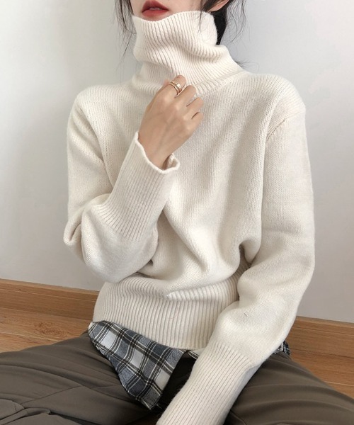 タートル ニットプルオーバー 2024AW　新作　秋冬 タートル ニットプルオーバー 2024AW 新作 秋冬／レディース