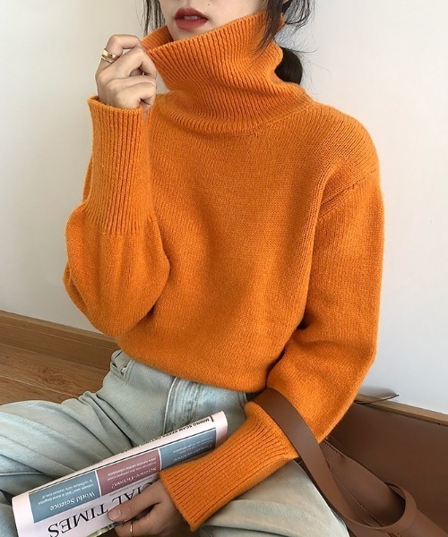 タートル ニットプルオーバー 2024AW　新作　秋冬 タートル ニットプルオーバー 2024AW 新作 秋冬／レディース