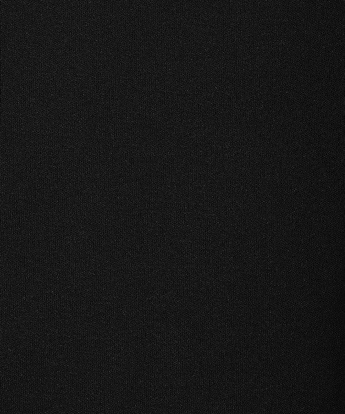 ローズティアラ　スラブジャージフリルカラーカットソー　ブラック42 セール】スラブジャージフリルカラーカットソー（Tシャツ