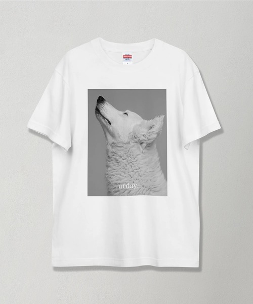 MAMIAN（マミアン） tシャツ urday / White Dog / フォトTシャツ