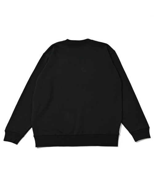 パウエルトレーナー SPECIAL PRICE】エコハイブリッド スウェットシャツ (FAM PT