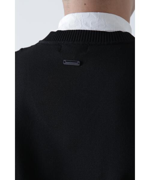 St ANDREWS セーター ニット 「St ANDREWS」12G V地柄 Vネックニット