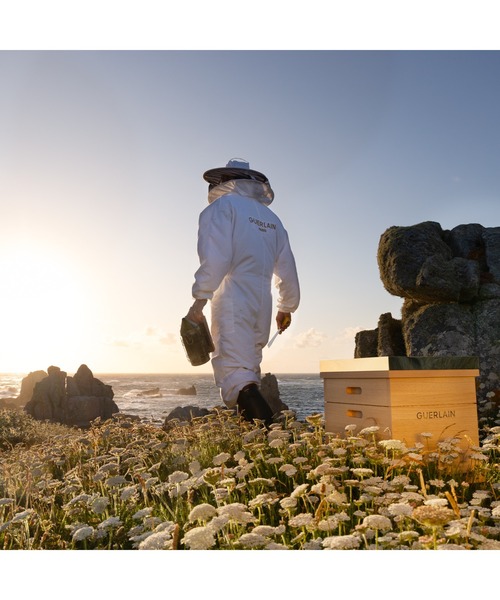 GUERLAIN（ゲラン） スキンケアセット アベイユ ロイヤル オイル