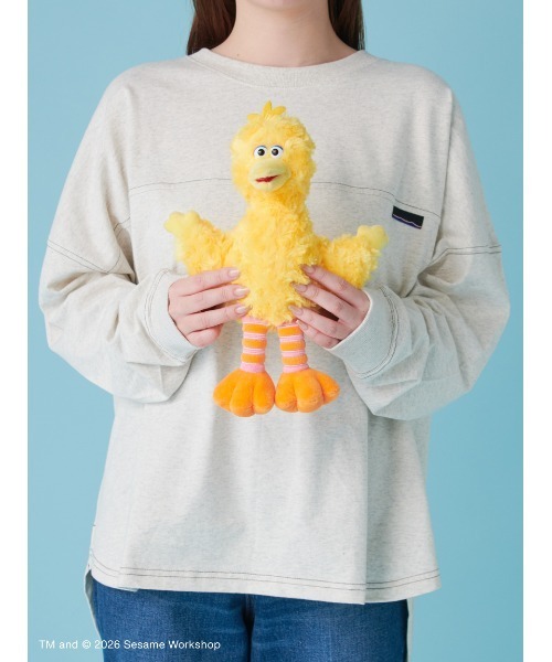 SESAME STREET（セサミストリート） おもちゃ ぬいぐるみS ビッグ
