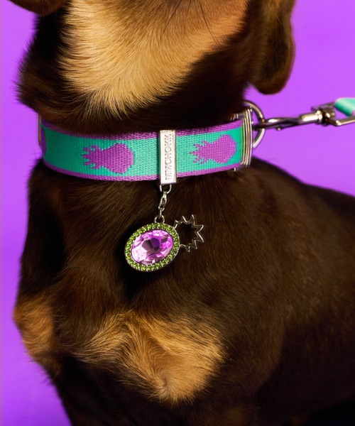 MMCHOKK 犬 ハーネス リード リードセット パイナップルシリーズ