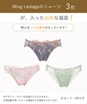 福袋 「福袋」 ウイング レシアージュ ショー...の詳細画像2