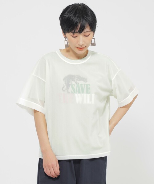 tシャツ 「カタログ掲載品」「ウォッシャブル」ソフトシアーカットソー レディース