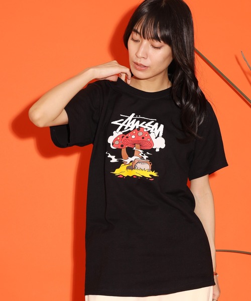 STUSSY（ステューシー） tシャツ SOMETHING'S COOKIN TEE Tシャツ