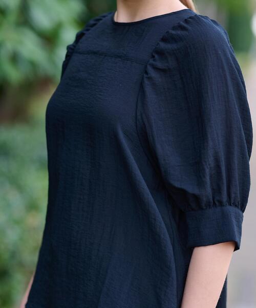 DRESSTERIOR（ドレステリア） ブラウス シャツ 「洗える/清涼感