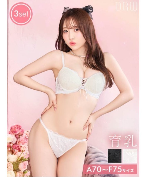ブラジャー ショーツセット 「3点セット」 エレガンス レース