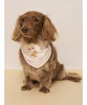 犬 服 「CAT&DOG」サマーベア柄保冷剤入...の詳細画像1
