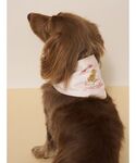 犬 服 「CAT&DOG」サマーベア柄保冷剤入...の詳細画像2