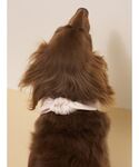 犬 服 「CAT&DOG」サマーベア柄保冷剤入...の詳細画像3