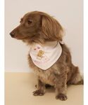 犬 服 「CAT&DOG」サマーベア柄保冷剤入...の詳細画像5