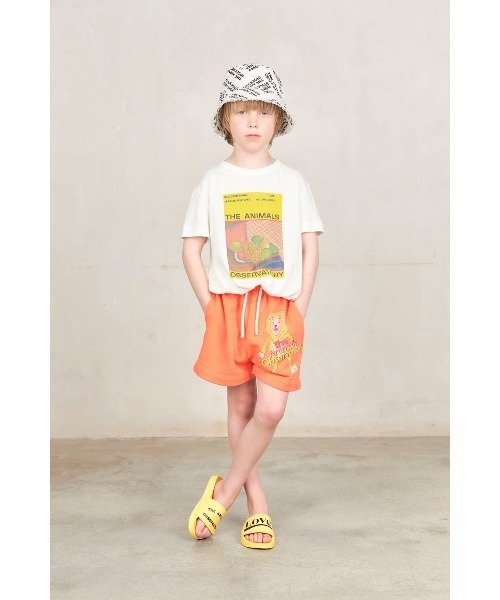 パンツ The Animals Observatory / スウェットショーツ キッズ 子供服