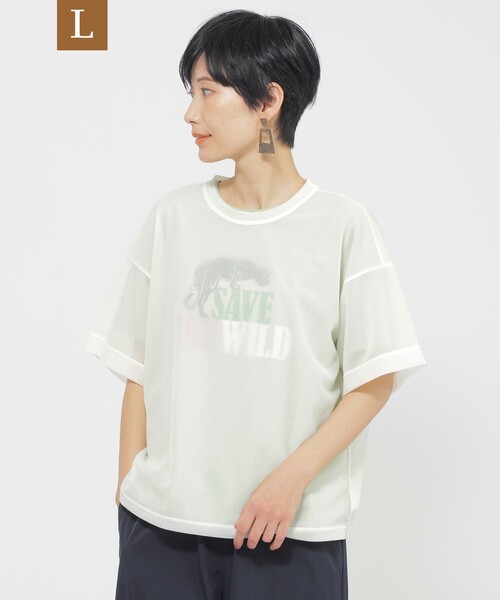 tシャツ 「L」「カタログ掲載品」「ウォッシャブル」ソフトシアーカットソー レディース