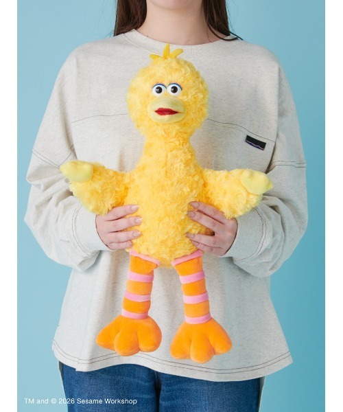 スーパー7 セサミストリート　ビッグバード　セサミストリート Amazon.com: Super7 Sesame Street Big Bird - 3.75