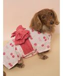 犬 服 「CAT&DOG」ダックスフンドサイズ浴衣の詳細画像1