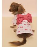 犬 服 「CAT&DOG」ダックスフンドサイズ浴衣の詳細画像2