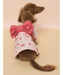 犬 服 「CAT&DOG」ダックスフンドサイズ浴衣の詳細画像3