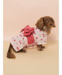 犬 服 「CAT&DOG」ダックスフンドサイズ浴衣の詳細画像4