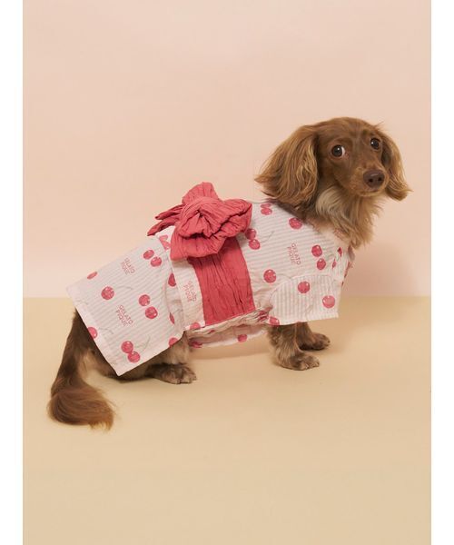 gelato pique（ジェラートピケ） 犬 服 「CAT＆DOG」ダックスフンド