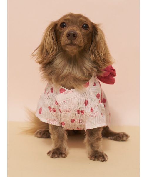 gelato pique（ジェラートピケ） 犬 服 「CAT＆DOG」ダックスフンド