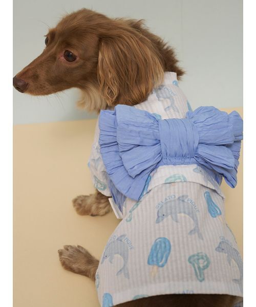 gelato pique（ジェラートピケ） 犬 服 「CAT＆DOG」ダックスフンド