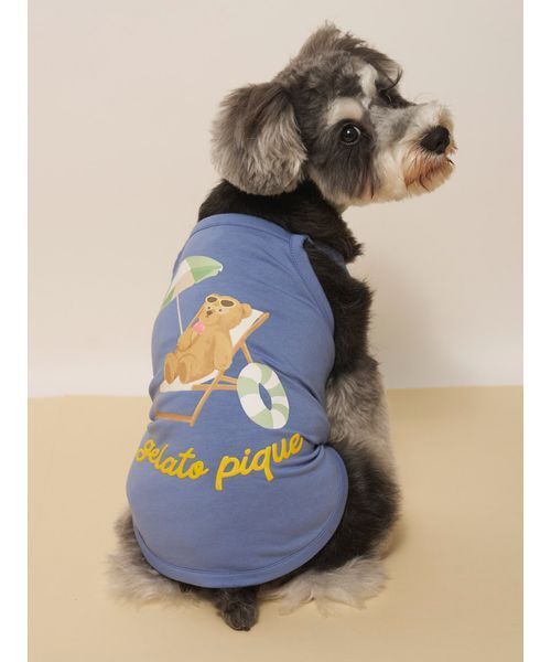 gelato pique（ジェラートピケ） 犬 服 「CAT＆DOG」「接触冷感