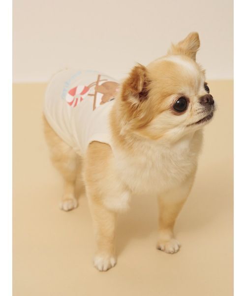 gelato pique（ジェラートピケ） 犬 服 「CAT＆DOG」「接触冷感
