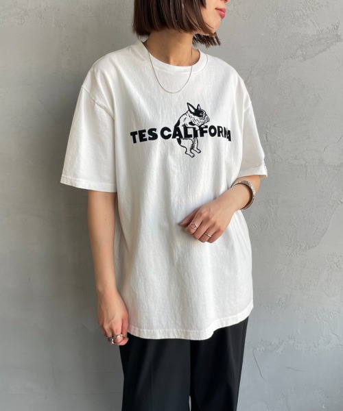 The Endless Summer（エンドレスサマー） tシャツ 半袖 TEC CAL