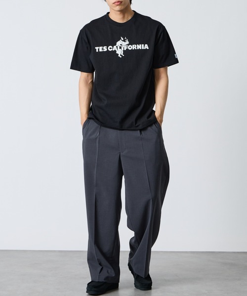 The Endless Summer（エンドレスサマー） tシャツ 半袖 TEC CAL