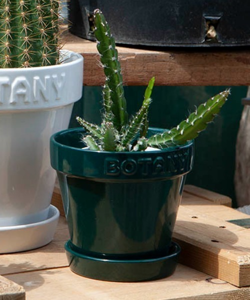 DULTON（ダルトン） 花瓶 BOTANY POT/4号 植木鉢 : ZOZOTOWN Yahoo!店