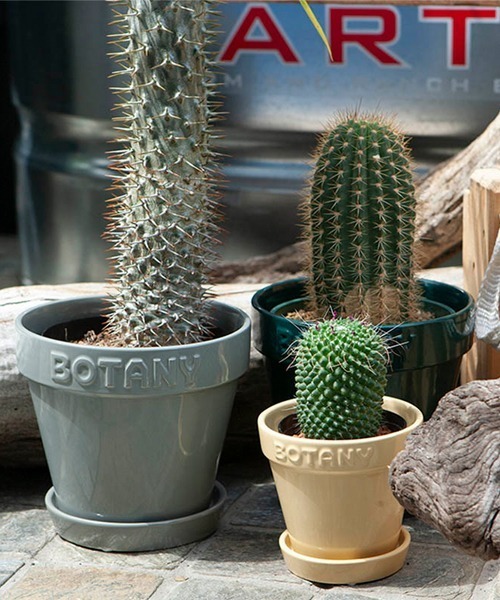 ダルトン 植木鉢8個セット DULTON（ダルトン） 花瓶 BOTANY POT/4号 植木鉢 : ZOZOTOWN Yahoo!店