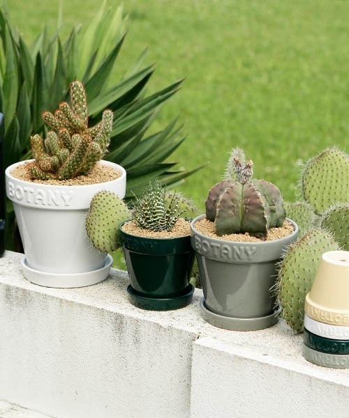 DULTON（ダルトン） 花瓶 BOTANY POT/4号 植木鉢 : ZOZOTOWN Yahoo!店