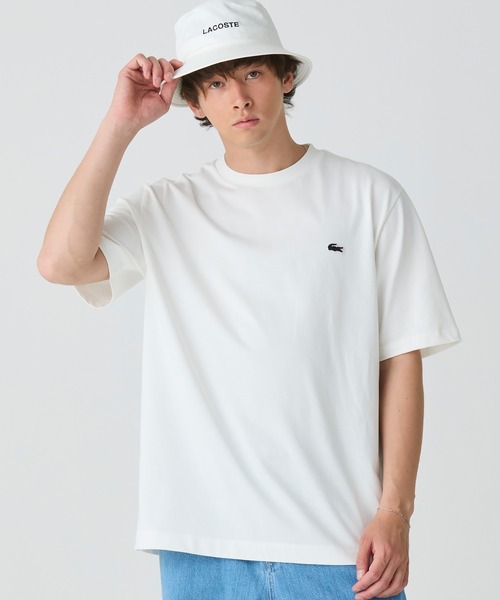 LACOSTE tシャツ ヘビーウェイト オーバーサイズバックプリント