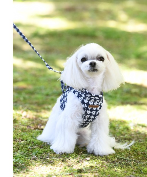 新品未使用☆ローラアシュレイ☆ハーネス＆リード LAURA ASHLEY 犬 ハーネス リード ASHLEY/フラワーハーネスS