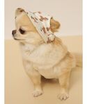 犬 服 「CAT&DOG」サマーベア柄ハットの詳細画像4